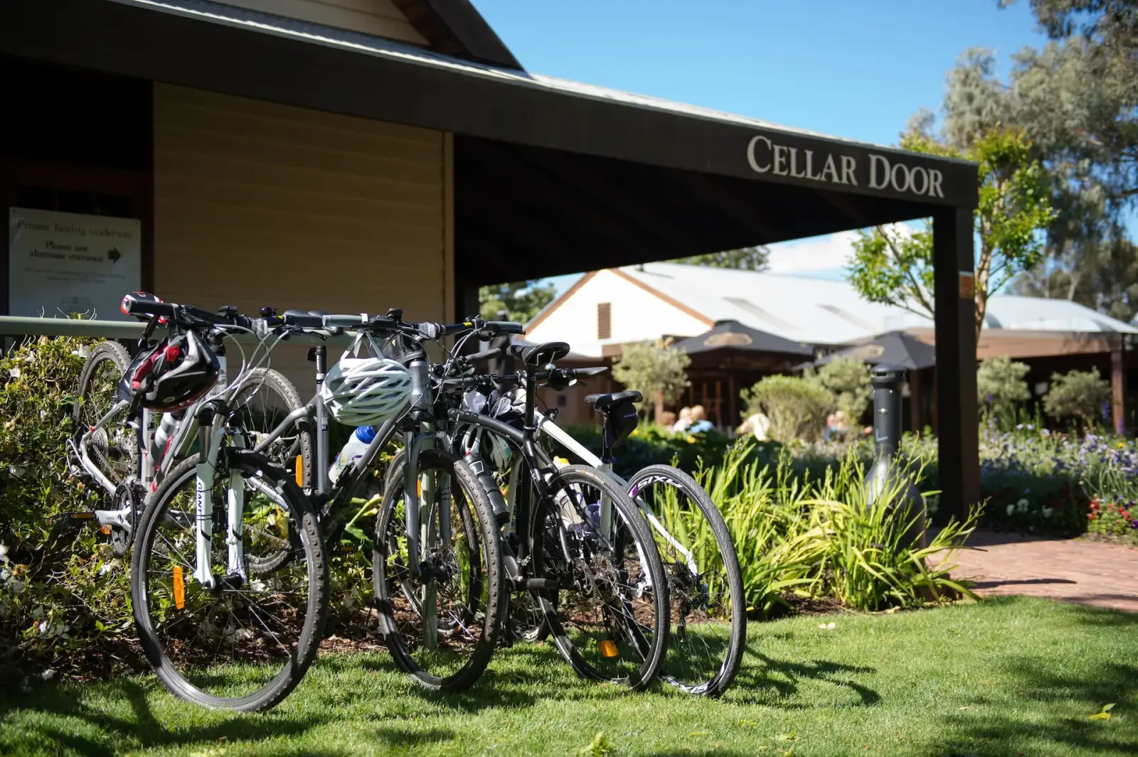 Riders on the Murray to Mountains trail