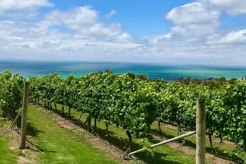 Bike stop at a Bellarine winery