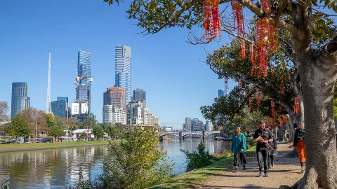Birrarung Marr scenery on the walk