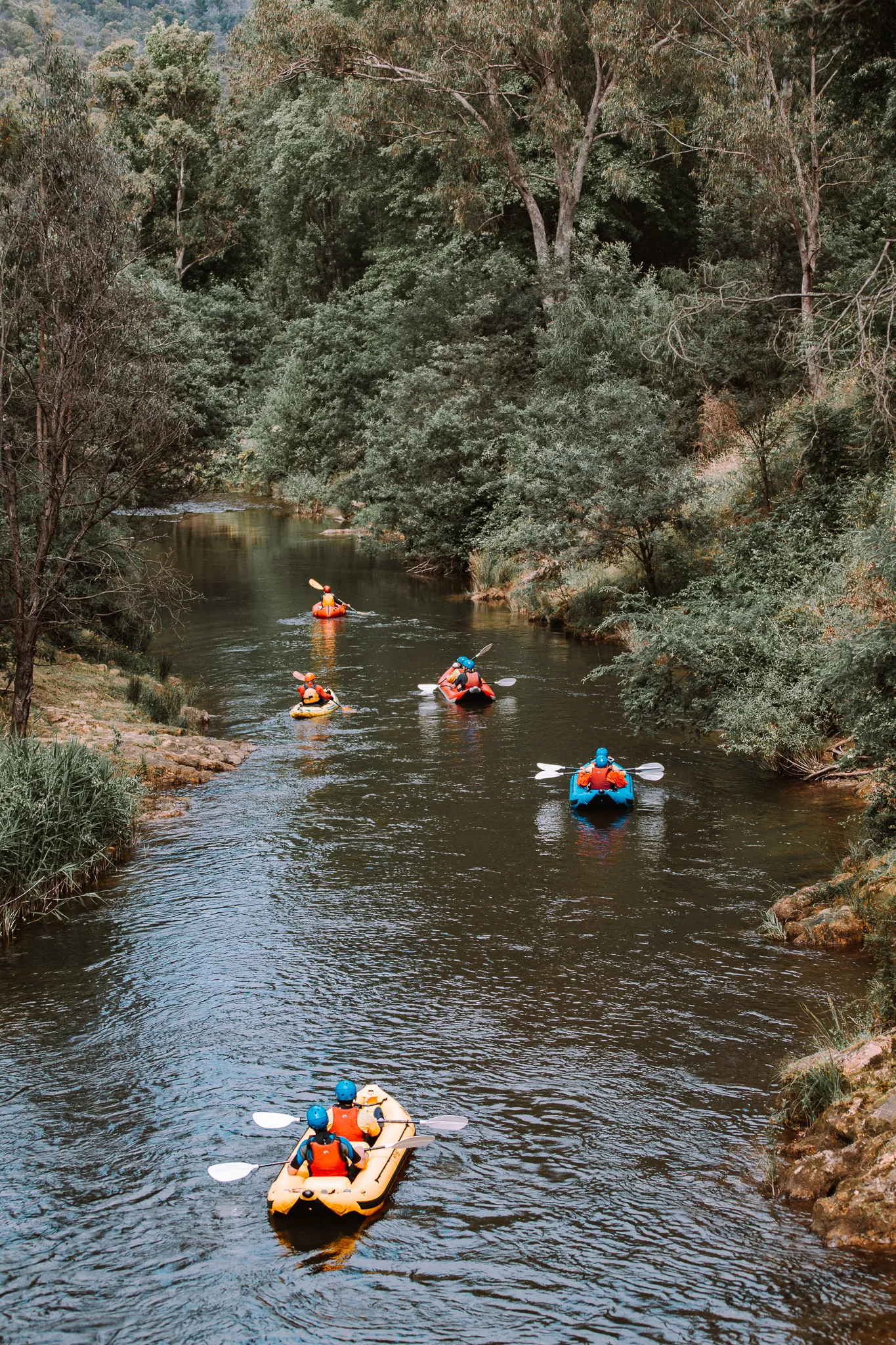 Paddling the rapids at Bright