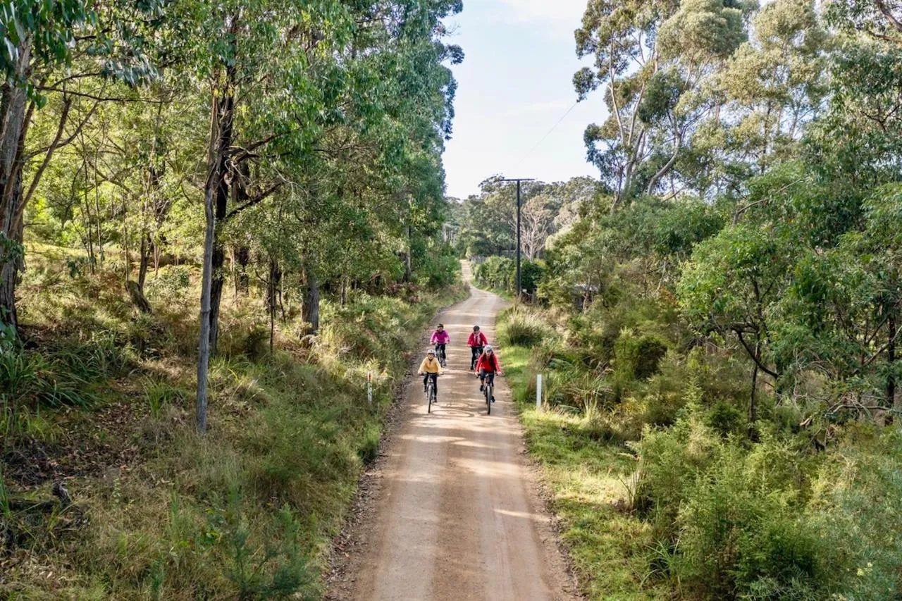 Cycling Vine tour on the Mornington Peninsula