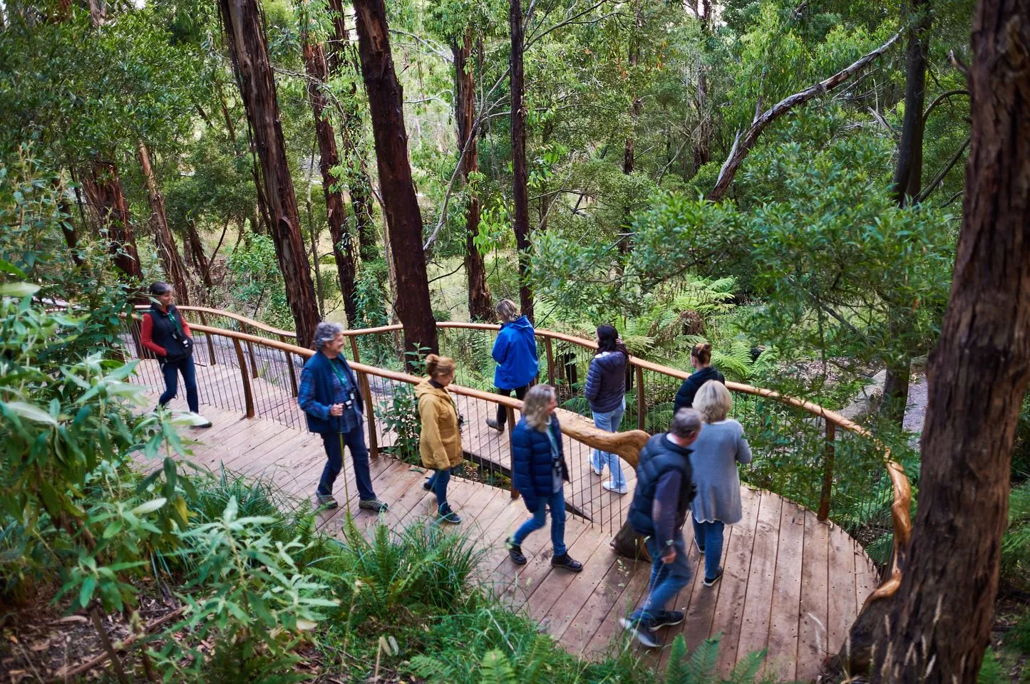 Dusk Discovery wildlife tour in progress