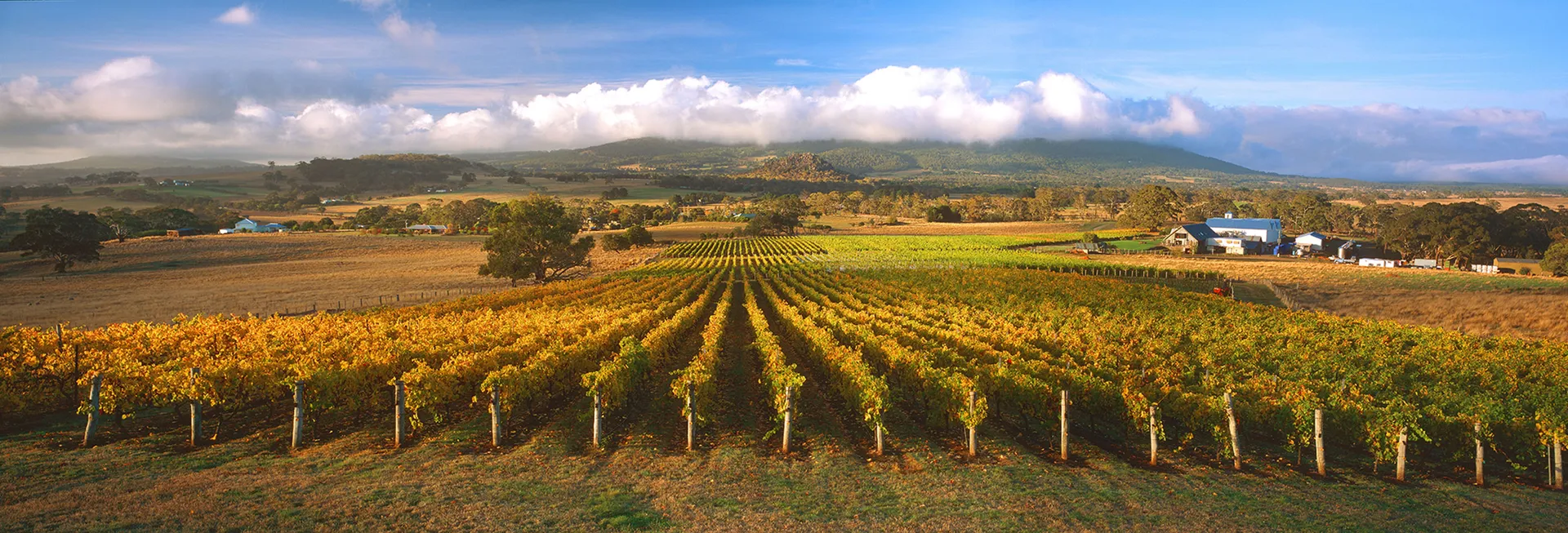 Hanging Rock winery stop
