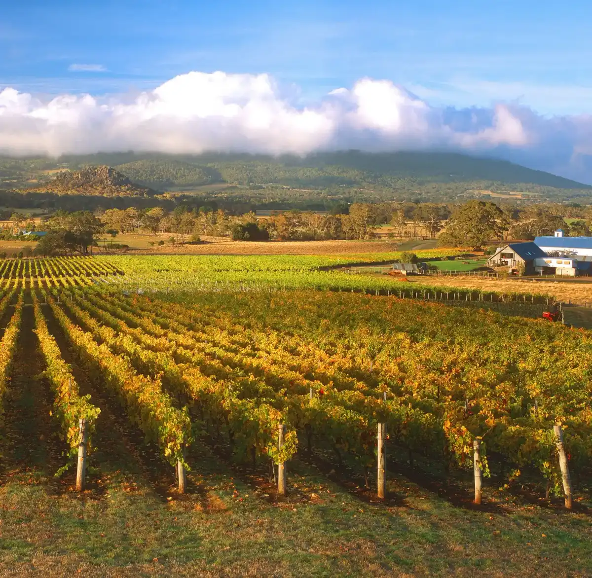 Wine tasting at Hanging Rock Winery