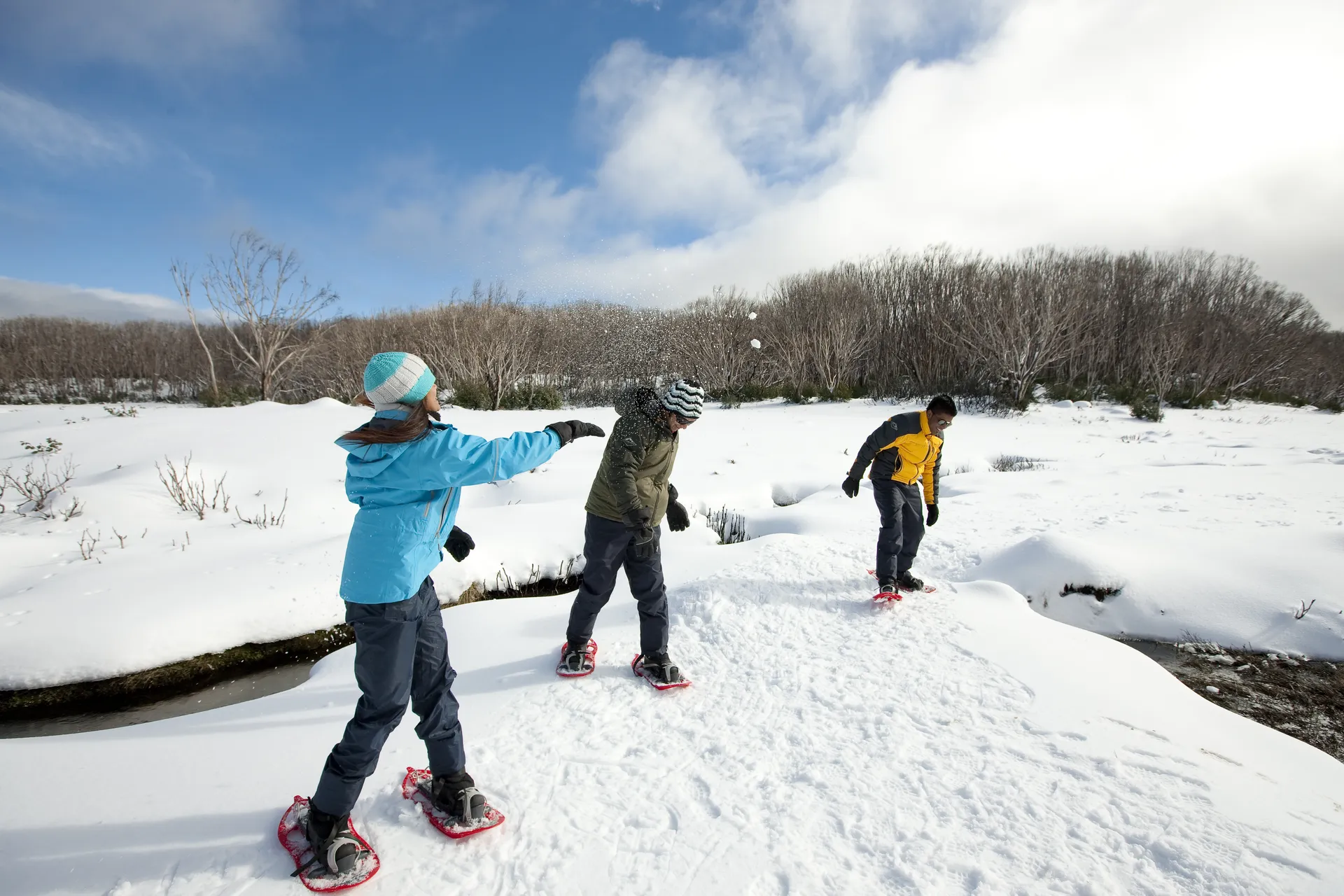 Snow play on the Lake Mountain tour