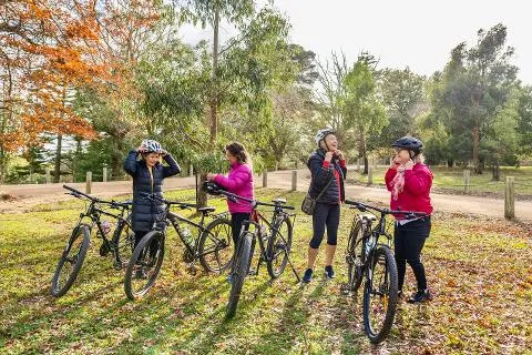 Cycling the Mornington Peninsula vine trails