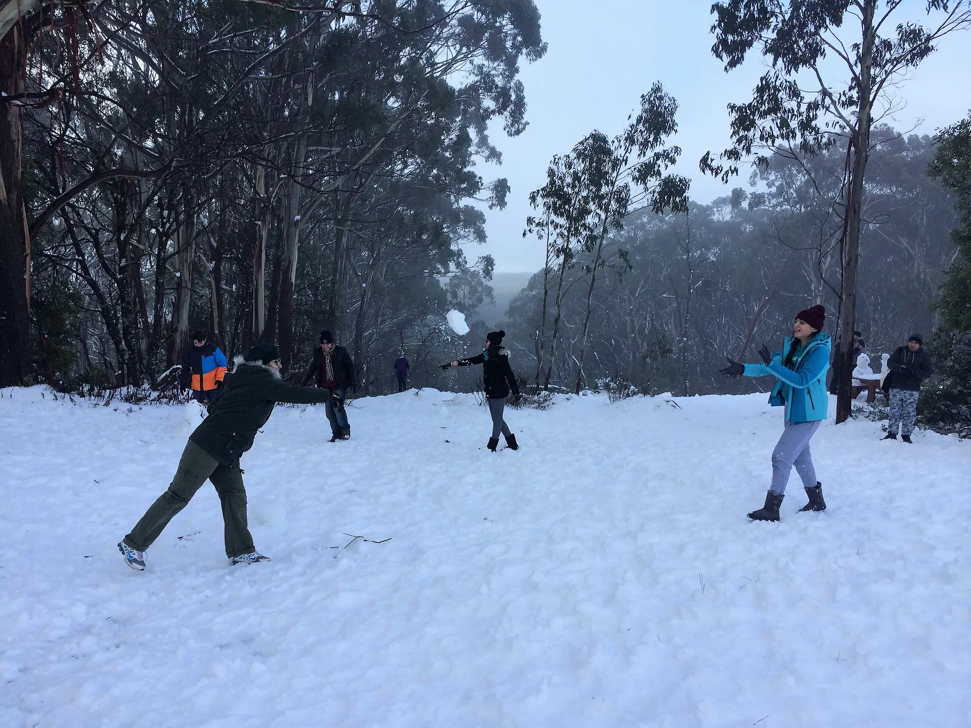 Mt Buller ski field scenery
