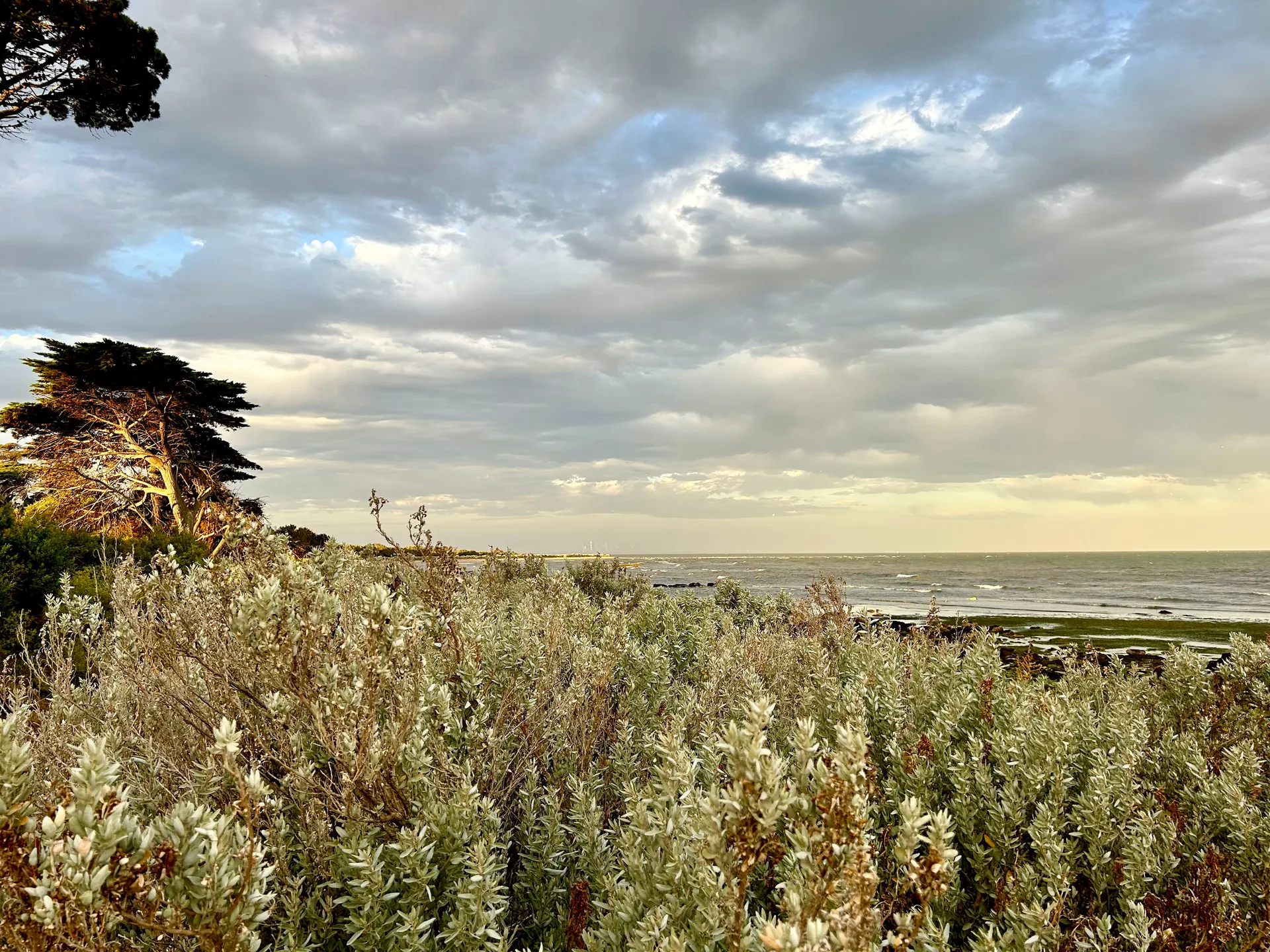 Beach beside Point Cook Homestead