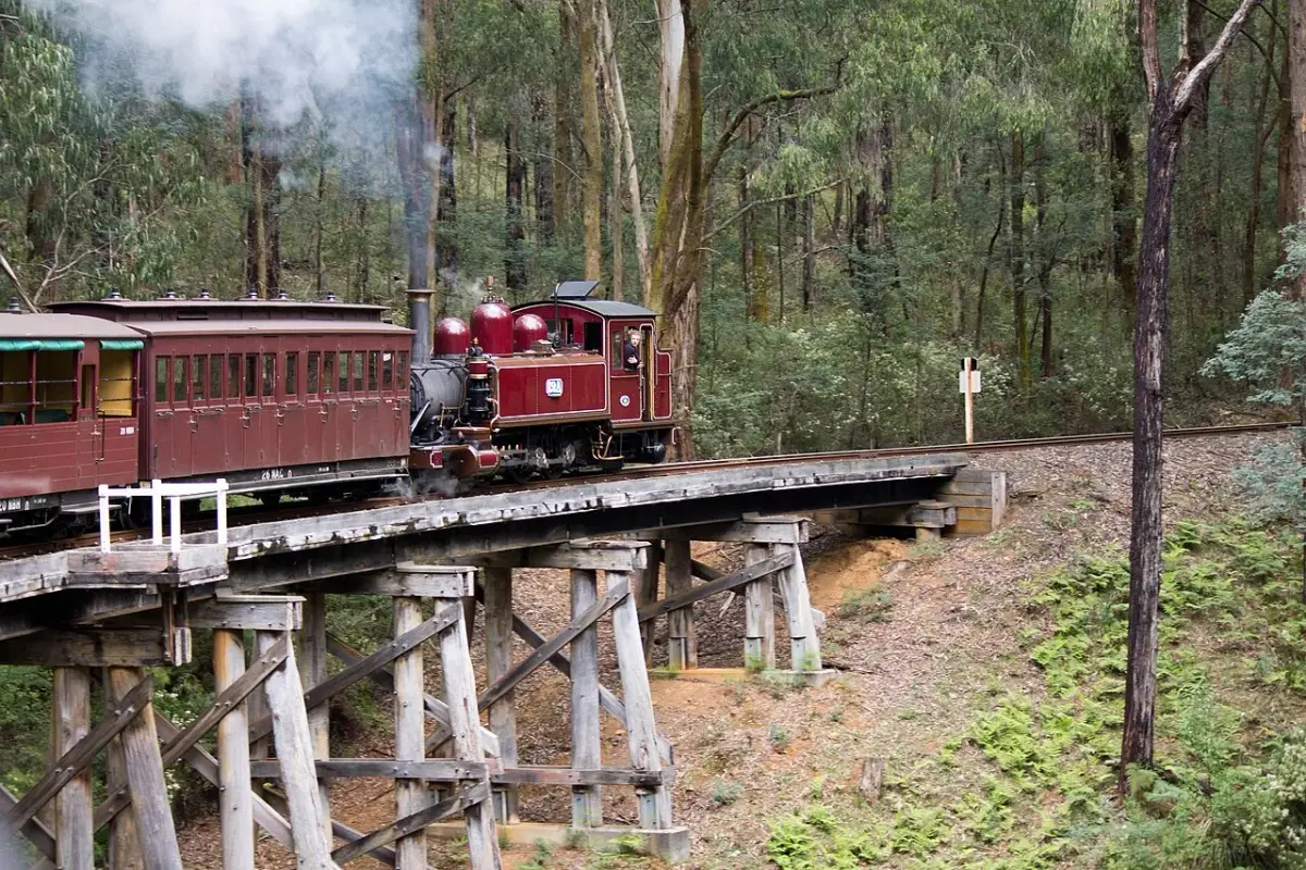 Puffing Billy steam train travelling through the forest with legs dangling from open carriages