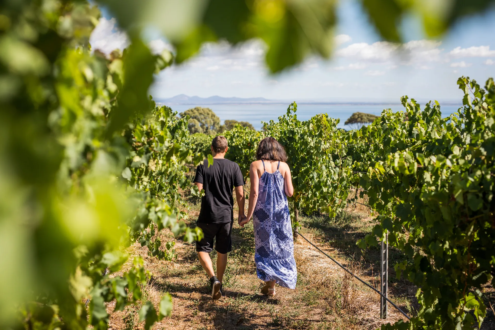 Food and wine stop around the bay