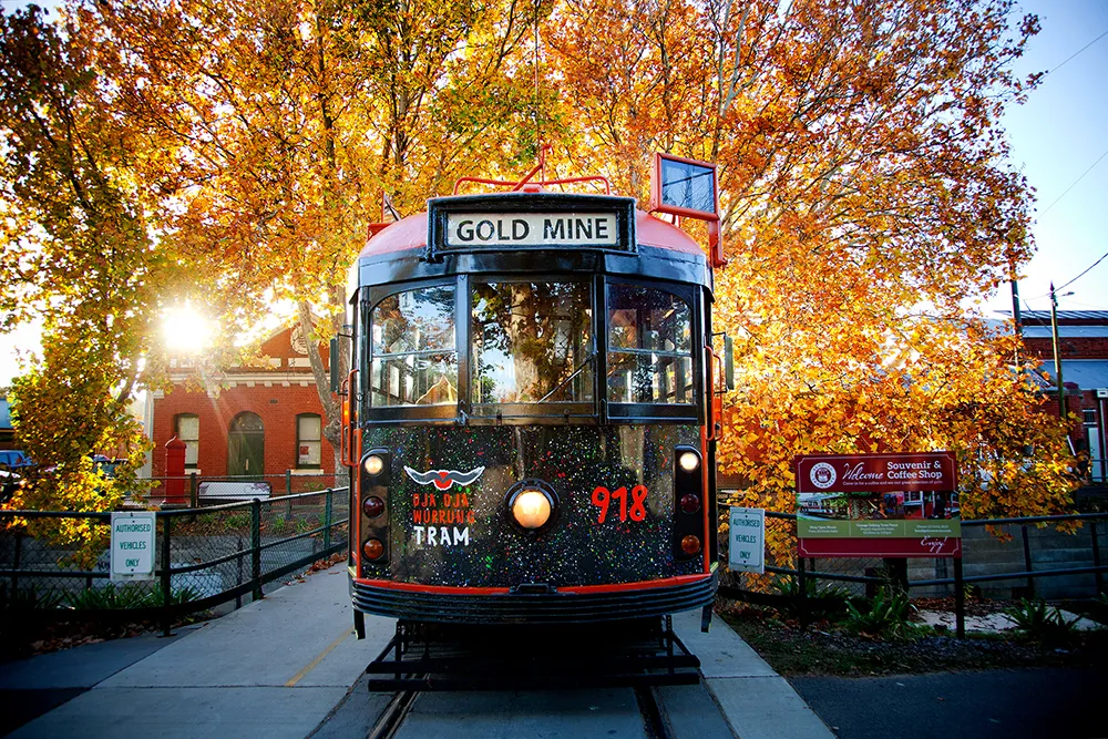 Autumn colours in Bendigo