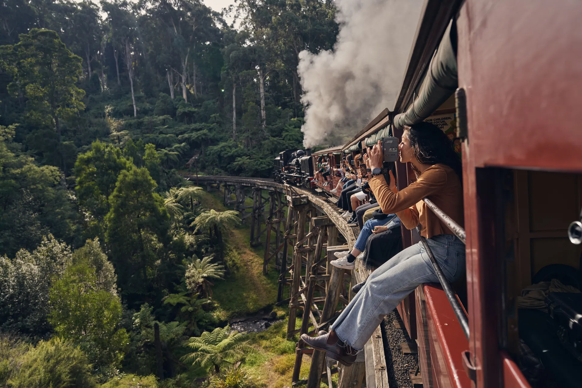 Puffing Billy winding through the forest