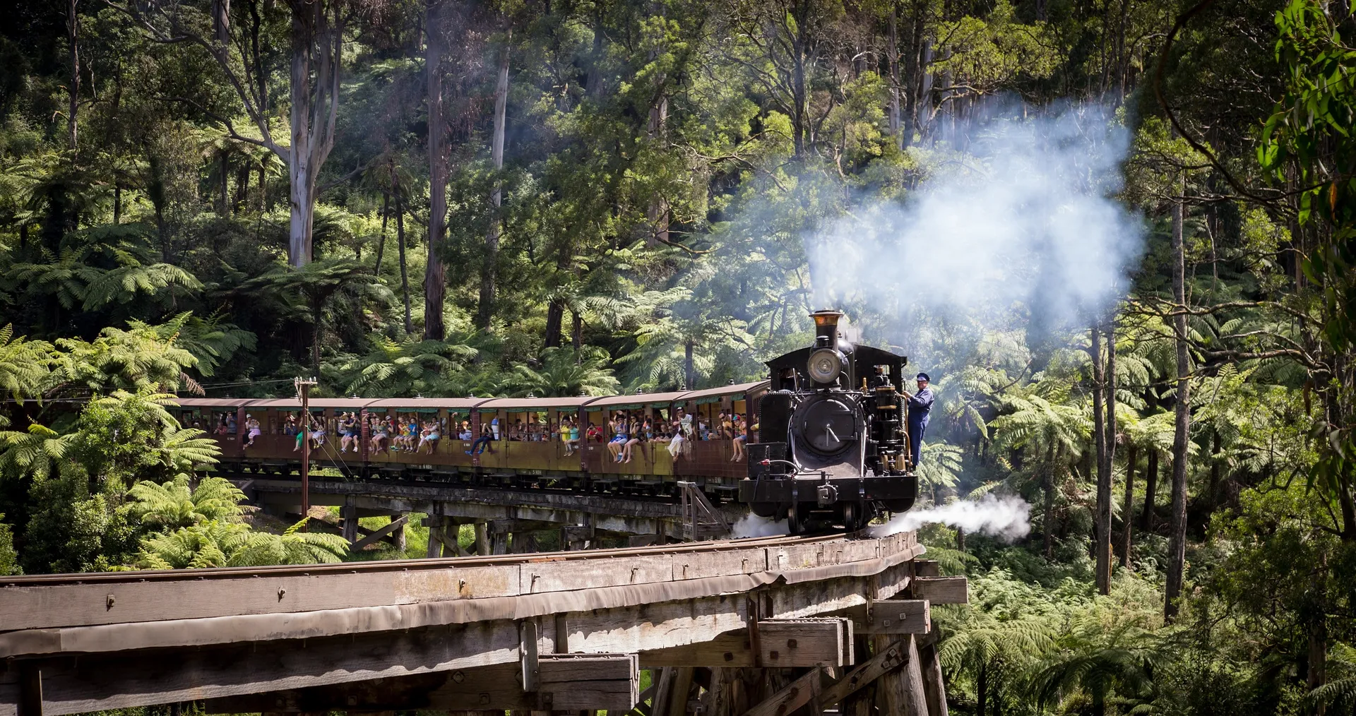 Puffing Billy steam train crossing the Monbulk Creek trestle bridge