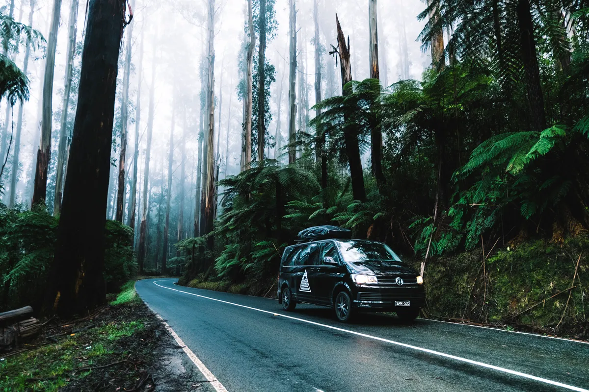 Guests enjoying the Great Ocean Road coastline on tour
