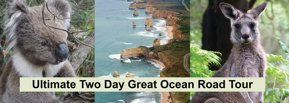 Great Ocean Road coastal scenery on the 2 day tour