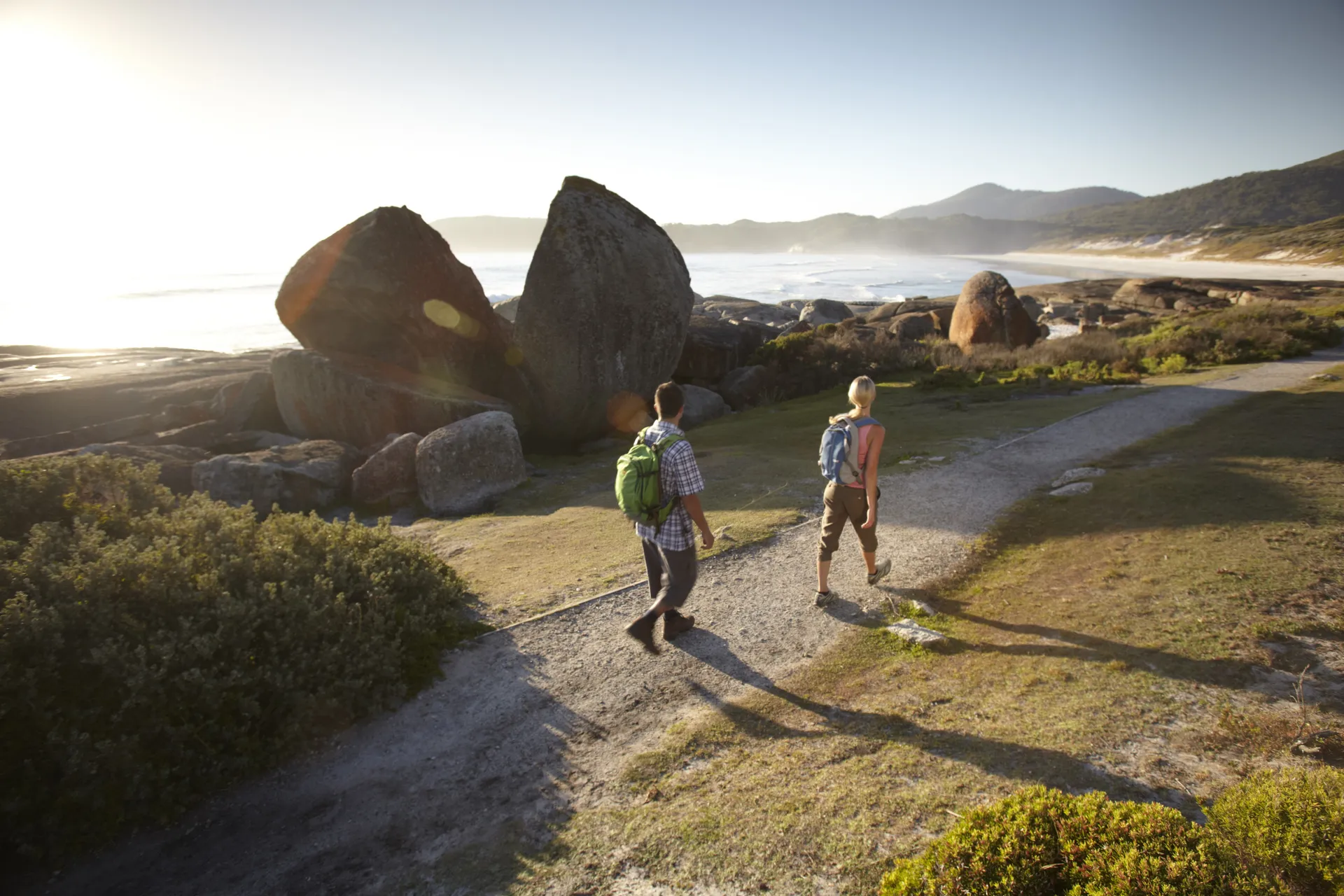 Scenic view on the Otways rainforest charter