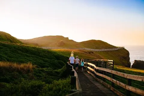 The Nobbies boardwalk, Phillip Island