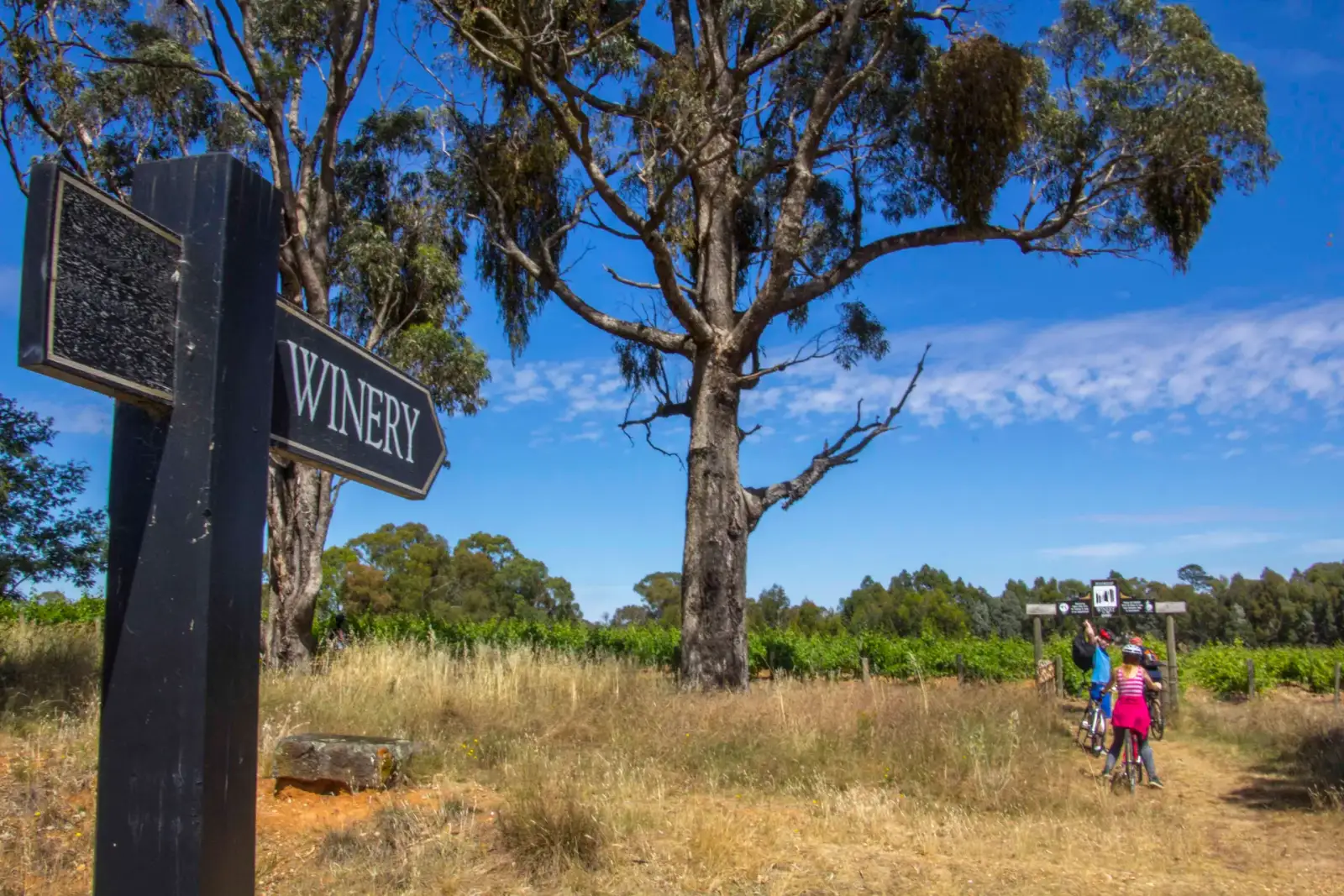 Cycling the gourmet trail