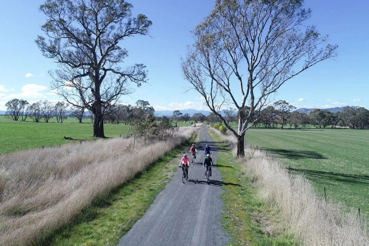 A bicycle on a country rail trail