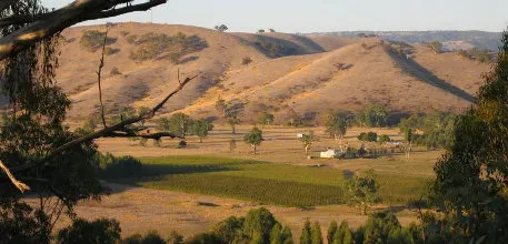 Rural scenery near Alexandra on the rail trail