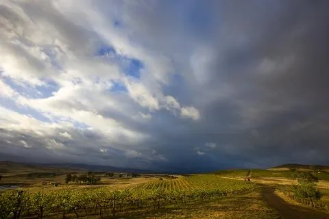 Delatite Winery on the rail trail