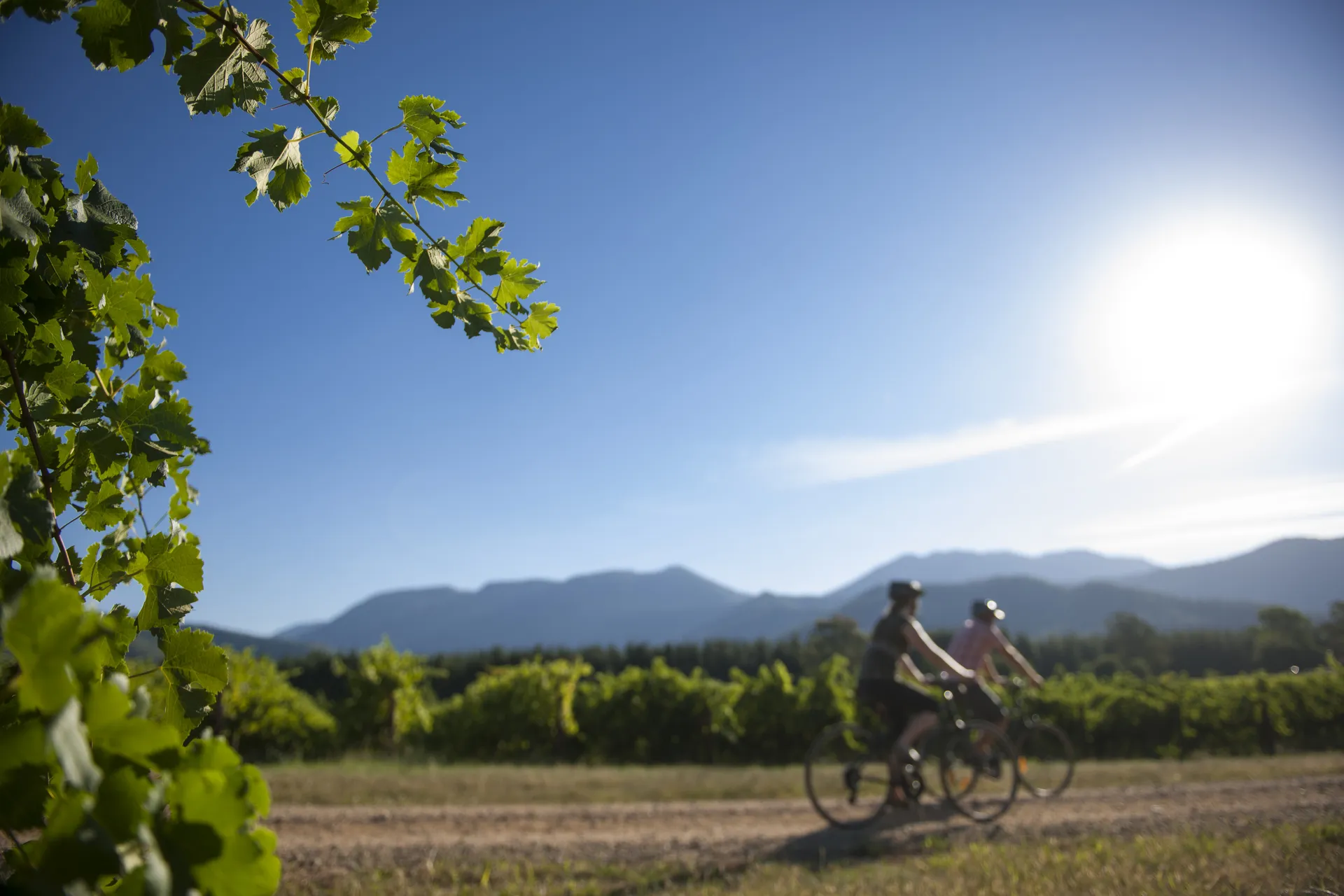 Scenery along the Great Victorian Rail Trail