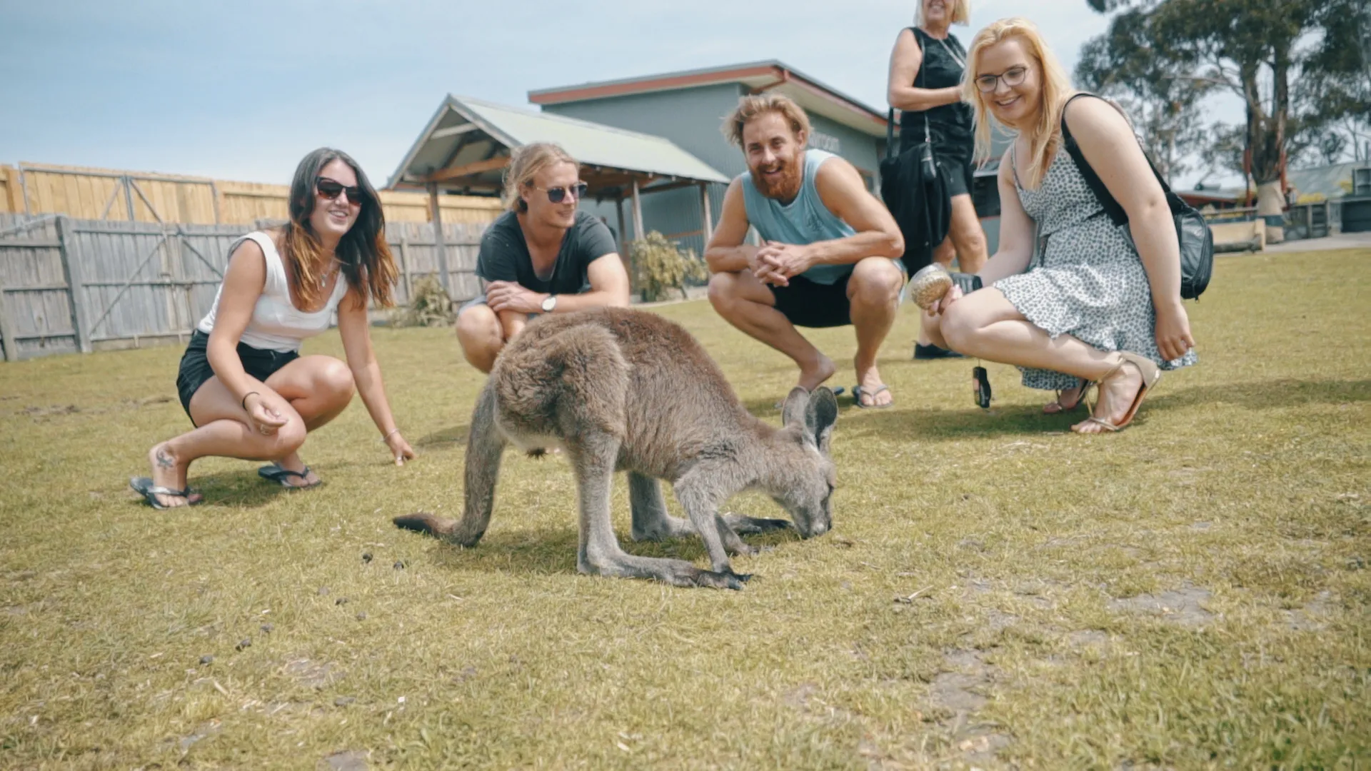 Group with kangaroos at Phillip Island