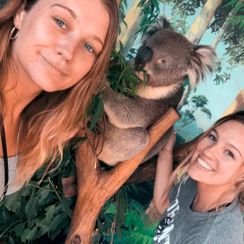 Koala sighting on the welcome program