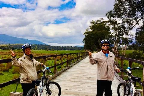 Vineyard riding on the tour
