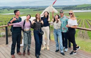 RELAXED | Half-Day Yarra Valley Wine Tour from Melbourne