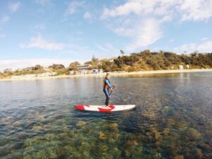 Stand Up Paddle Hire
