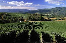 Balgownie Vineyard Restaurant and Day Spa