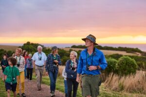 Dawn Discovery Tour