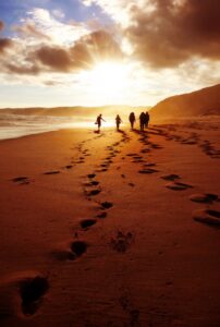 Great Ocean Road 12 apostles with koala and kangaroo now on sale from 77 aud includes entry fees