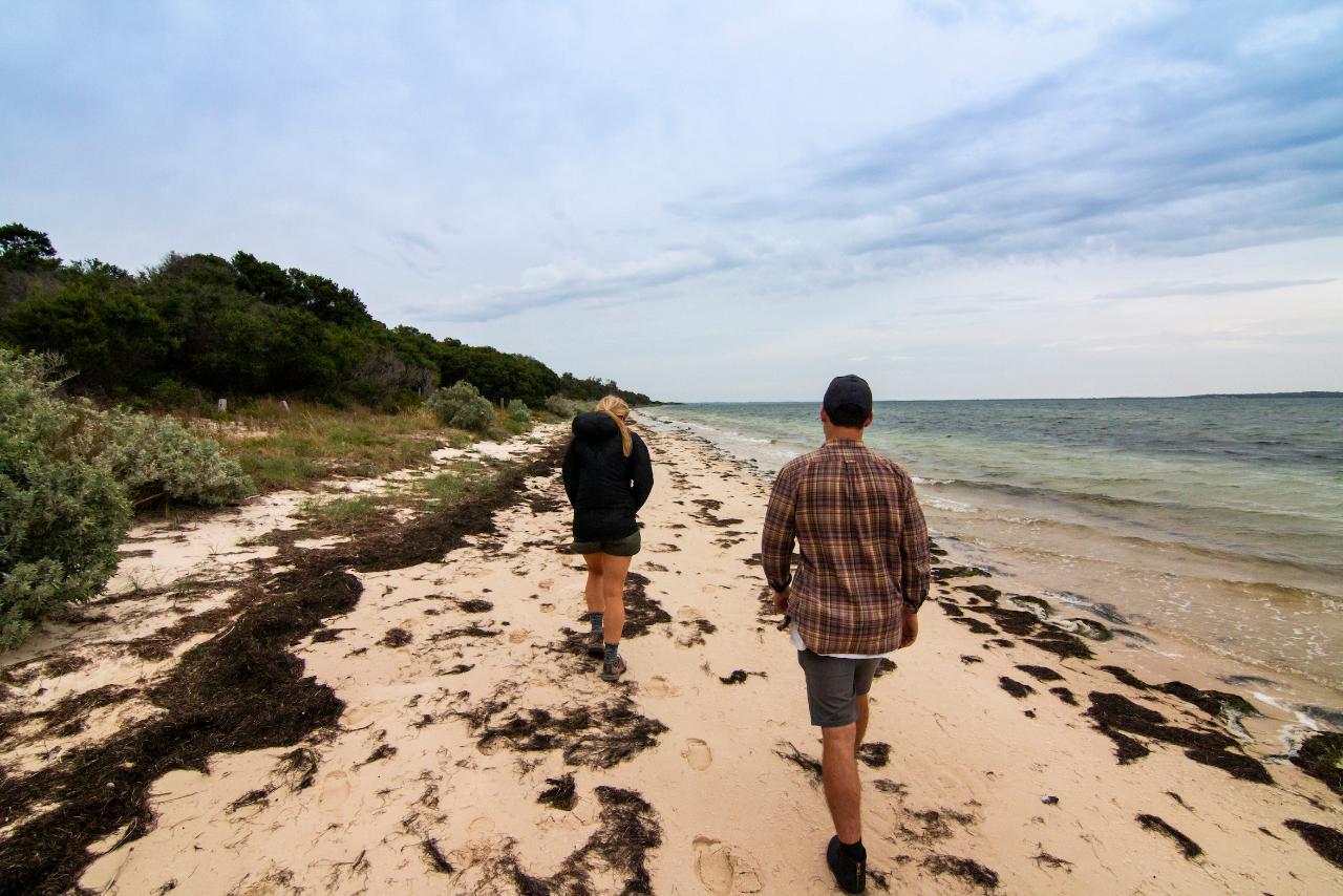 Read more about the article French Island & Phillip Island Wildlife Expedition