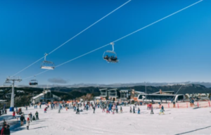 1 way trip to Melbourne from MT Buller