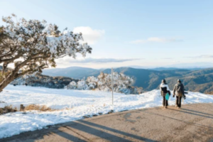 MT Buller 1 day snow tour from 129 Aud (more pick ups available)