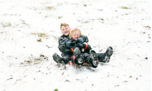 1 Day Mt Buller Snow Tour small group tour