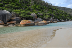 1 day Wilsons Promontory tour