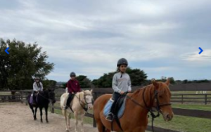 50min General Riding Lesson – Woodlands Lodge