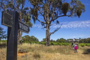 Tour de Grand Gourmet 5 day tours
