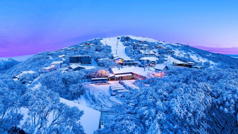 MT Buller Snow Tour