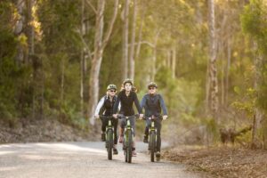 E-Bike Hire – Cruiser style – 1 day hire