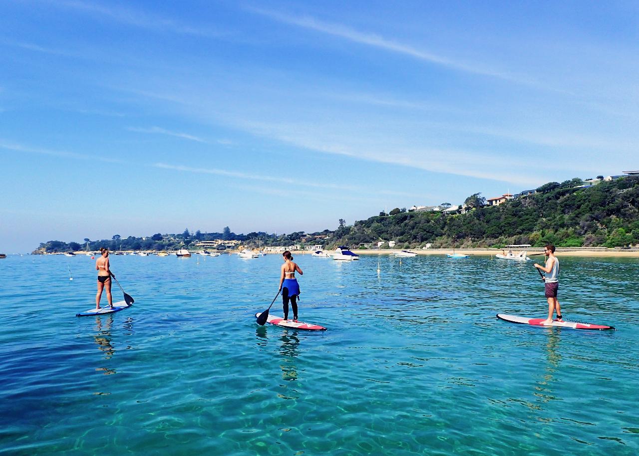 Stand Up Paddle Hire