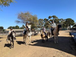 50min General Riding Lesson – Woodlands Lodge