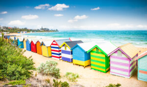 Phillip Island Australian natiive Wildlife And Brighton Beach Boxes Bus Tour