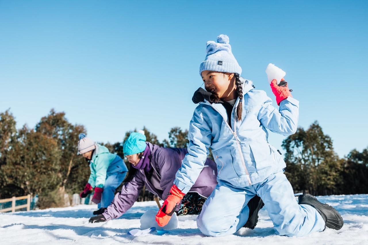 Read more about the article Lake Mountain Snow & Puffing Billy Tour from Melbourne
