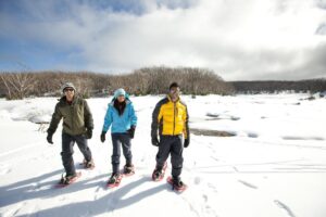 Lake Mountain Snow Play & Waterfalls Tour