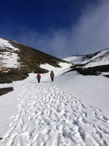 Mt Buller Snow 1-Day Tour from 127 aud