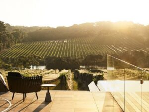 Mornington Peninsula. Luxury Lunch, Wine and Sightseeing Tour. Small Group